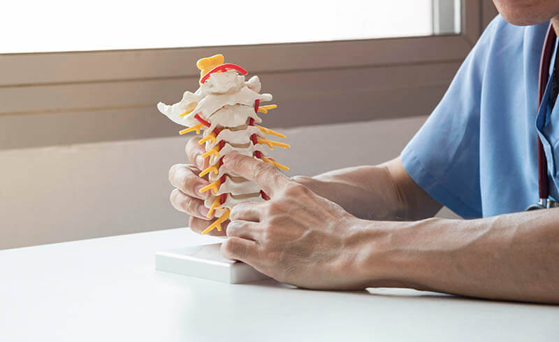 Doctor explaining of neck pain by demonstrating a cervical spine model to the patient in medical office